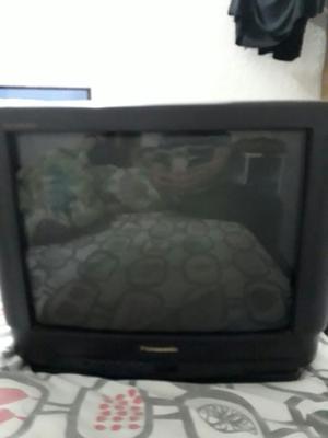 Vendo Televisor Panasonic 21