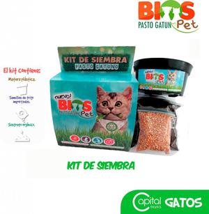 Pasto Gatuno Kit de siembra Bios Cat