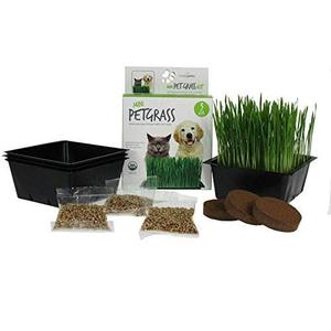 Mini Kit De Hierba De Mascotas Orgánicas - Grow Wheatgrass