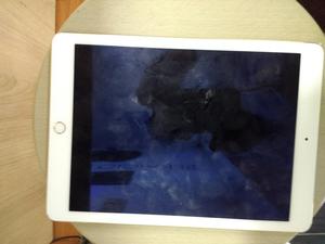 Display iPad Air 2