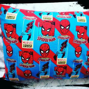 Cojines Super Heroes