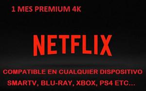 Netflix Premium 4 Pant. Entrega Inmediata