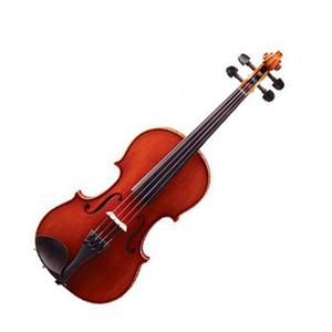 Violin Eastman Vl80t