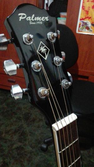 Guitarra Palmern PF23CEQFSHN