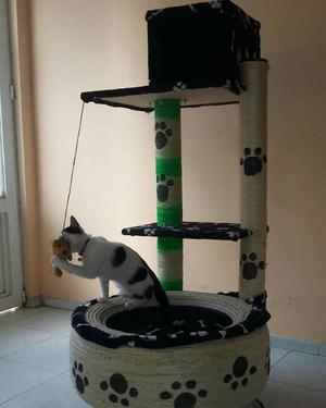 Camas para Gatos