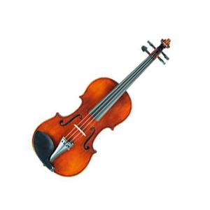 Violin Eastman Vl502sample
