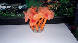 Planta coralina en silicona Colores Brillantes para Acuario