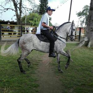 a La Venta Mora de 50 Meses