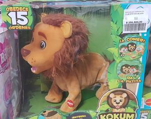 Kokum Baby Lion