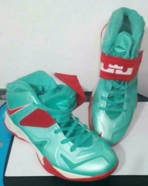 Nike Lebron Originales