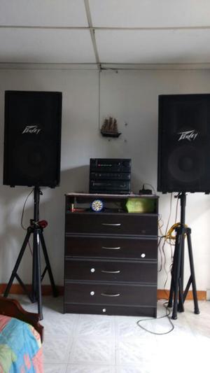 Cabinas Peavey Medellin pasivas