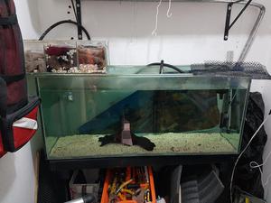 Acuario Y Canister