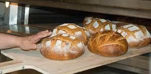vendo bultos de pan duro, excelente para cuidado de animales