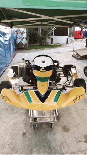 Kart Tonykart Rotax 125cc Edicion Ayrton Senna