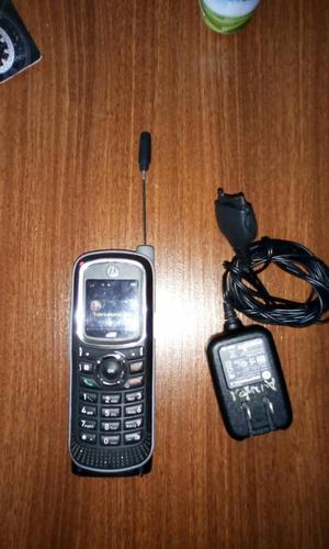 Avantel Motorola I365