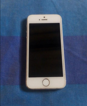 Iphone 5S, sin camara principal, en buen estado