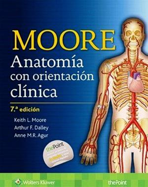 Anatomía Con Orientación Clínica 7a Edición Moore