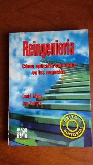 Reingenieria y como aplicarla con exito en los negocios