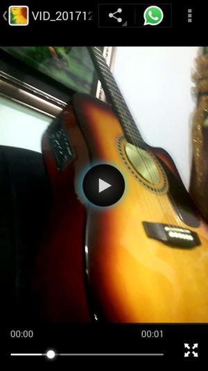 Vendo Guitarra Electroacustica Palmer