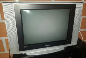 Televisor Samsung de 21 con Control