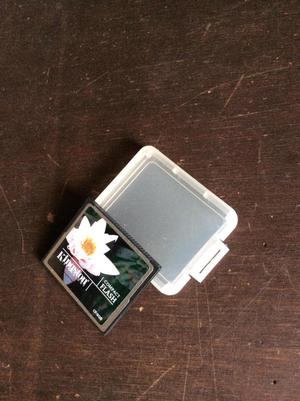 tarjetas memorias compact flash 4 gigas kingston sandisk