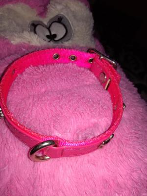 Collar para Perrita