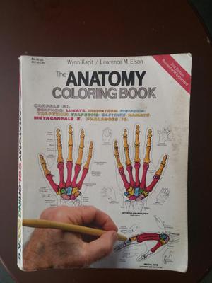 Enciclopedia Completa de Anatomia
