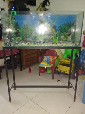 Se Vende Acuario Estado Excelente