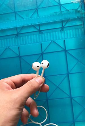 Audifonos EarPods Originales en Perfecto