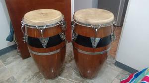 Congas Hr
