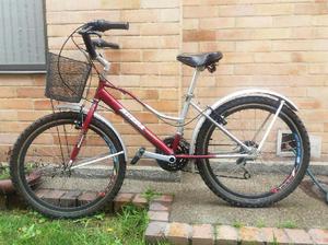 Bicicleta Playera - Funza