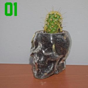 Calavera de cristal con cactus