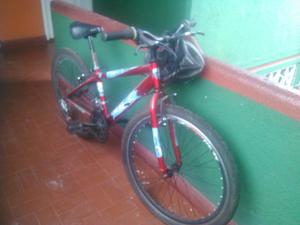 Bicicleta Adulto