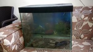 Vendo Acuario con Oxigeno