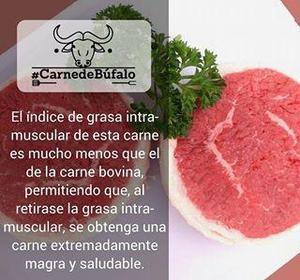 Venta de Carne de Bufalo