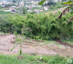 Ganga venta de lotes tunel alto $10000000