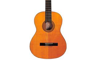 Guitarra Acustica Estuche Vizcaya Castill Natural