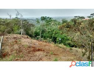 LOTE EN HACIENDA DE POTRERITO,JAMUNDI