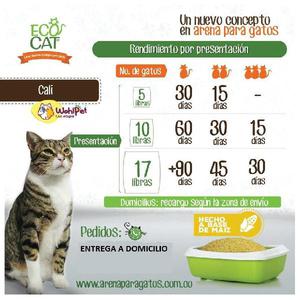 Arena para gatos Cama sanitaria Biodegradable para gatitos -