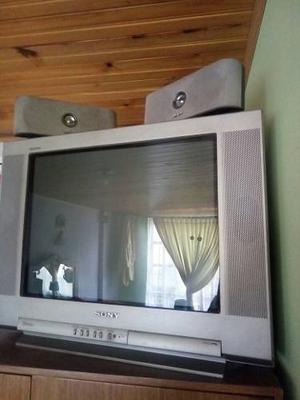 Televisor Sony Trinitron 20' Con Parlantes Adicionados.