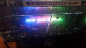 Luz Sumergible para Acuario Pecera - Neiva