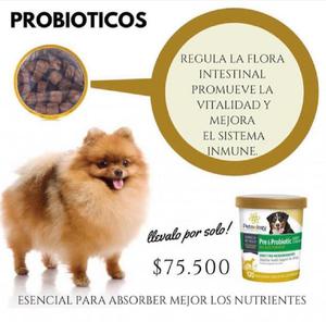 Petnology Probioticos - Cali