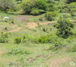 SE VENDE FINCA DE 73 HECTAREAS CHIBOLO MAGDALENA