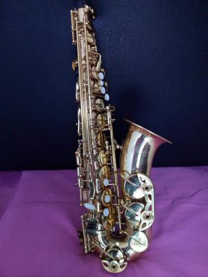 Vendo Saxofon Alto en Exelente Estado
