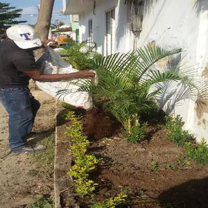 Diseños Y Mantenimiento de Zonas Verdes - Cartagena de