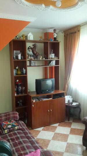 Vendo Televisor Y Mueble