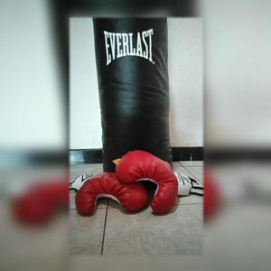 Bolsa de boxeo y guantes