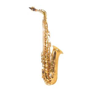 Saxofon Alto Ozeki Ma Dorado