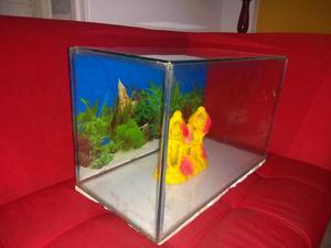 Vendo Acuario