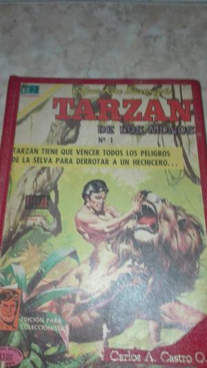 Coleccion de Historietas de Tarzan